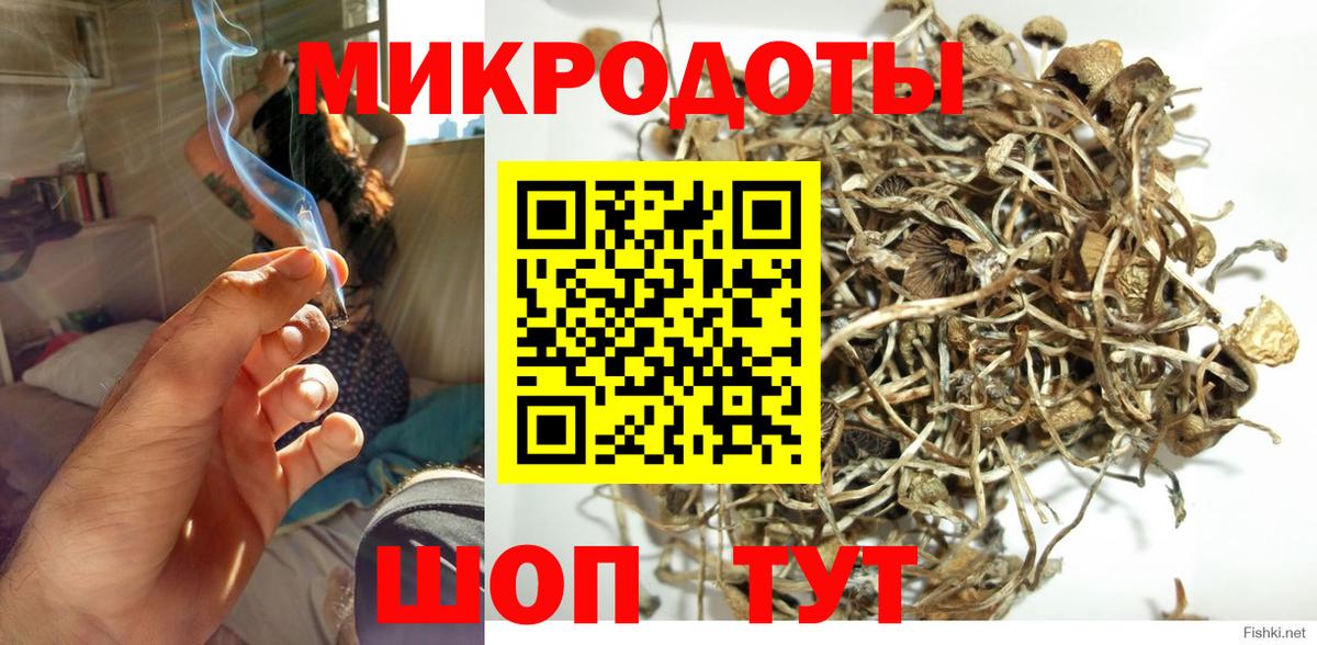 Галлюциногенные грибы MAGIC MUSHROOMS Строитель