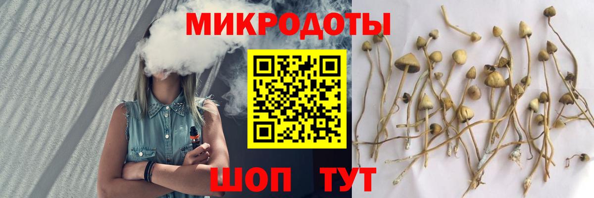 Галлюциногенные грибы мухоморы  Вход с VPN  Строитель 